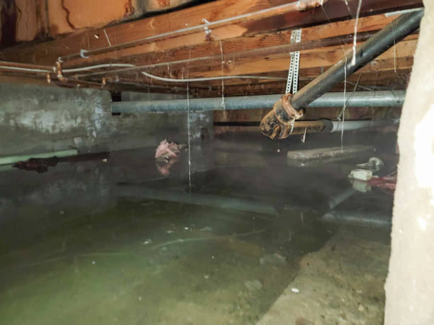 Best Flooded house restoration  in Arma, KS