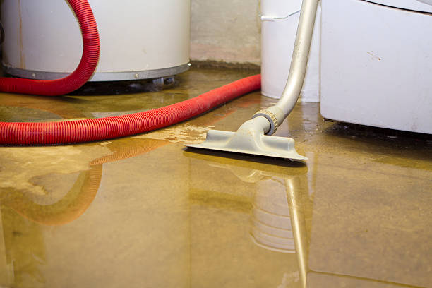 Best Water damage contractors near me  in Arma, KS