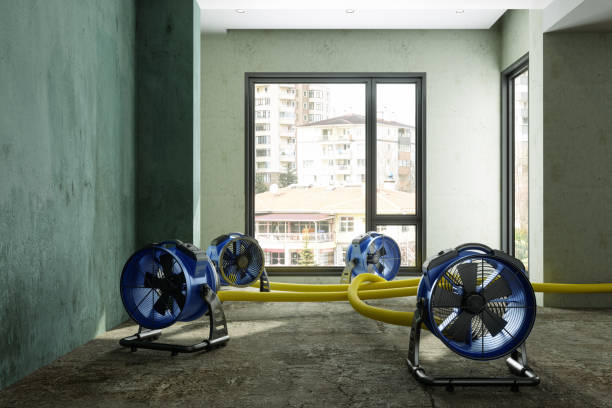 Best Water damage restoration company  in Arma, KS